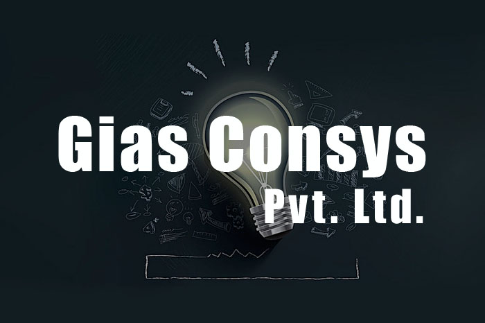 Gias Consys Pvt. Ltd.